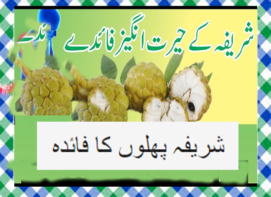 Sharifa fruit benefits In Urdu