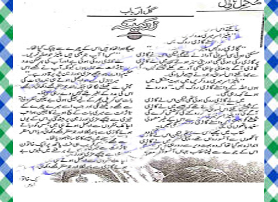 Zarmina Urdu Novel By Gul Arbab
