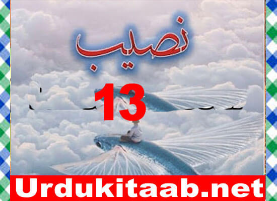 Naseeb Urdu Novel By Biya Talhat Part 13 Download