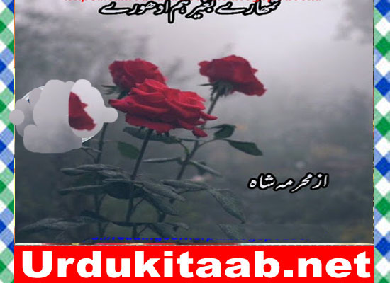Tumhary Bagher Hum Adhoory Urdu Novel By Mehrmah Shah Download