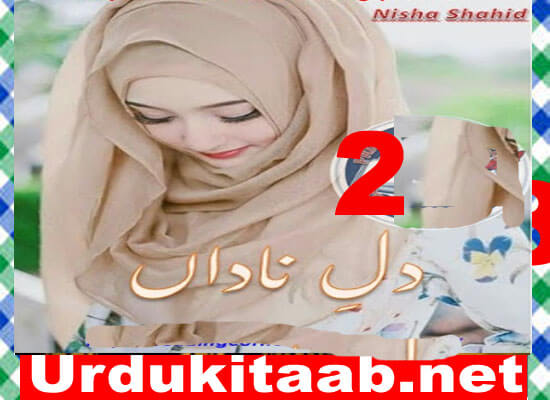 Dil E Nadan Urdu Novel By Nisha Shahid Season 2 Download