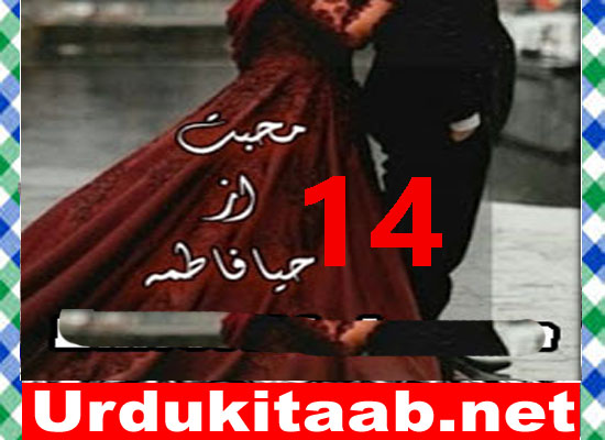 Mohabbat Urdu Novel By Haya Fatima Episode 14 Download