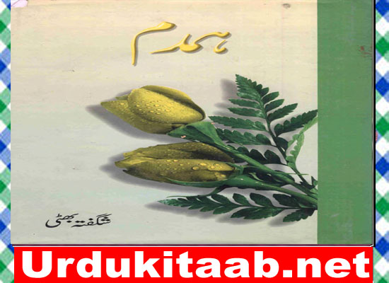 Humdam Urdu Novel By Shagufta Bhatti Download