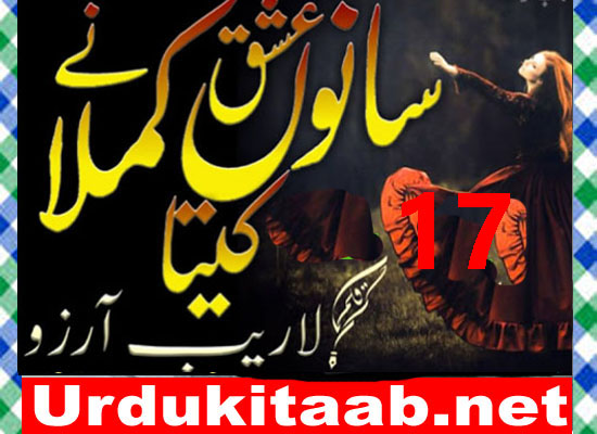 Sano Ishq Ne Kamla Kita Urdu Novel By Laraib Arzo Episode 17 Download