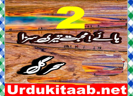 Haaye Mohabbat Teri Saza Urdu Novel By Sehar Gul Episode 2 Download