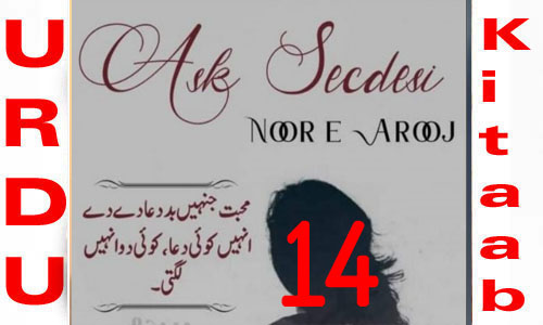 Ask Secdesi By Noor E Arooj Urdu Novel Episode 14