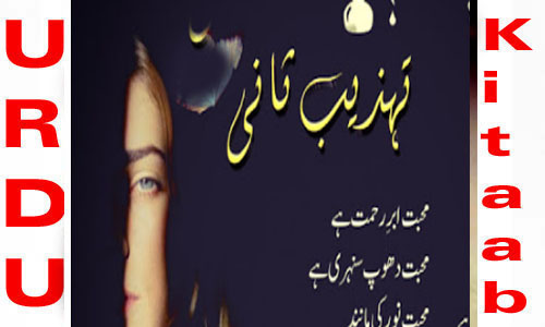 Mohabbat Jeet Hoti Hai By Tehzeeb Sani Romantic Novel