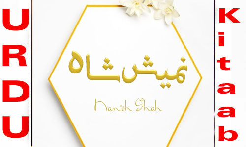 Namish Shah All Complete Urdu Novel List