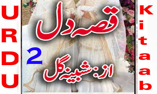 Qissa E Dil By Shabina Gul Urdu Novel Episode 2