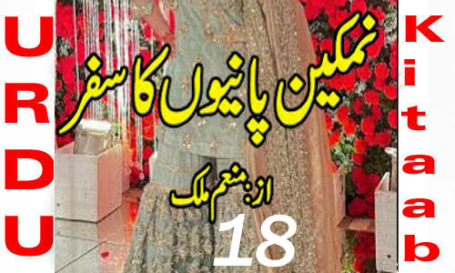 Namkeen Panion Ka Safar By Munam Malik Episode 18 Urdu Novel