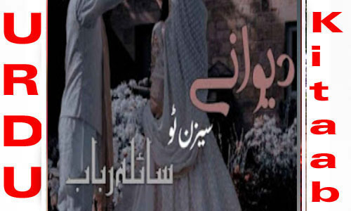 Deewane By Saila Rubab Season 2 Complete Novel